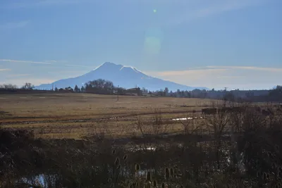 DSC_6031 (Large).JPG